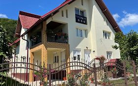 Pensiunea casa Rareș